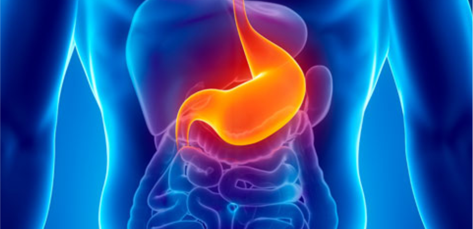 Surgical Gastroenterology